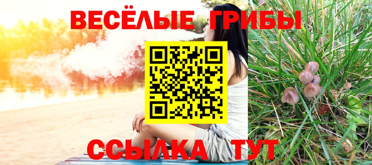 Сергиев Посад  Псилоцибиновые грибы прущие грибы  Вход с VPN 